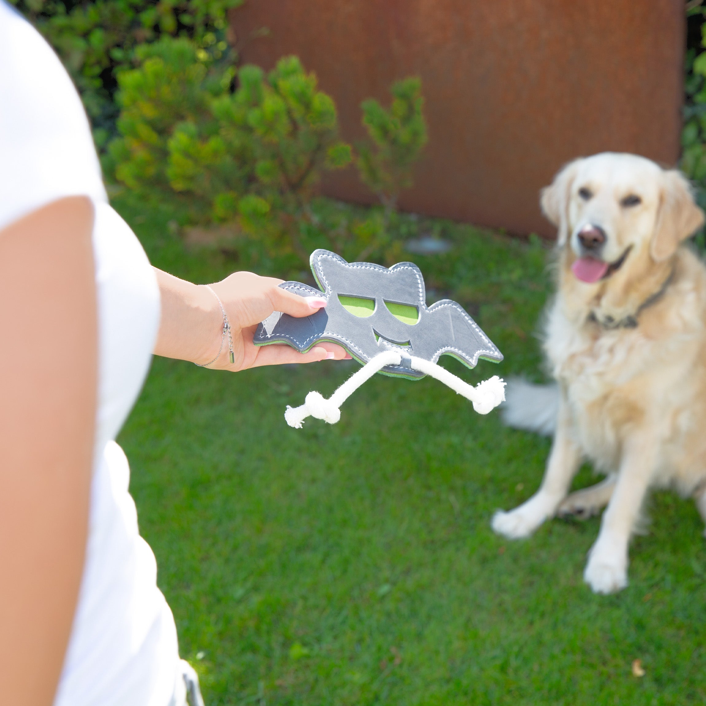 Hundespielzeug Fledermaus – Leder Kauspielzeug & Zerrspielzeug