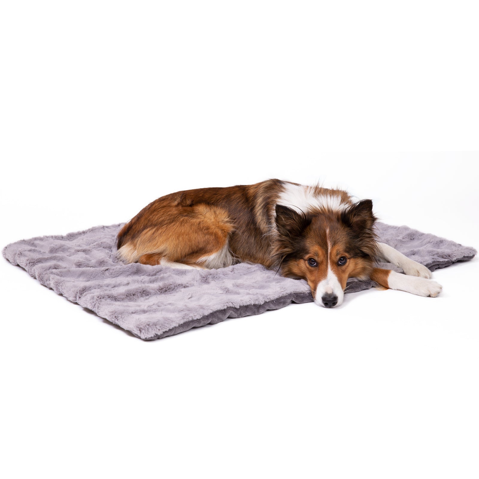 Hundedecke Cheyenne – superweicher Faserpelz für Auto, Sofa & Hundebett, waschbar