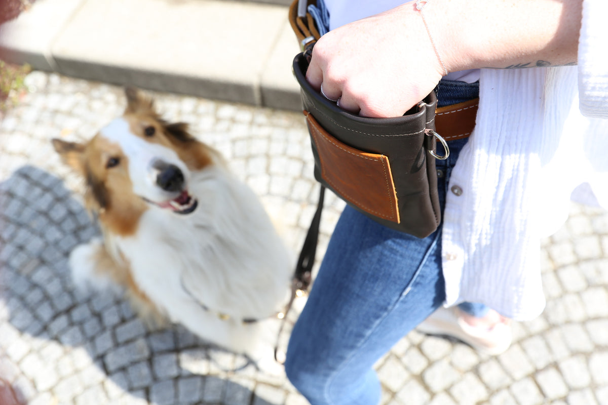 Hundezubehör