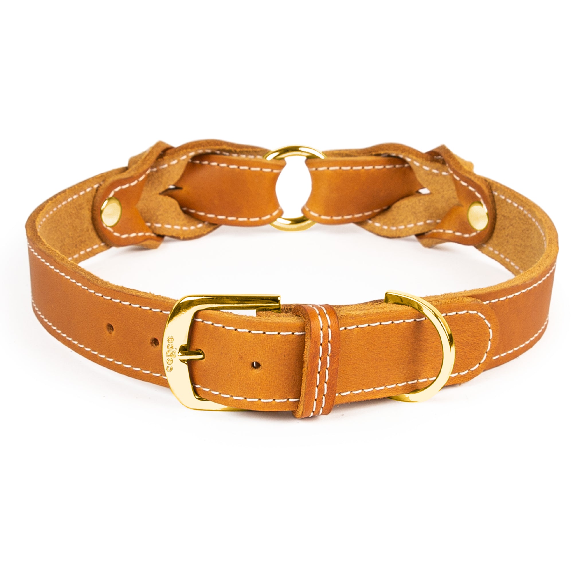 Hundehalsband Heidi – breites Lederhalsband mit Dornschnalle