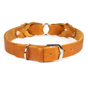 Hundehalsband Heidi – breites Lederhalsband mit Dornschnalle