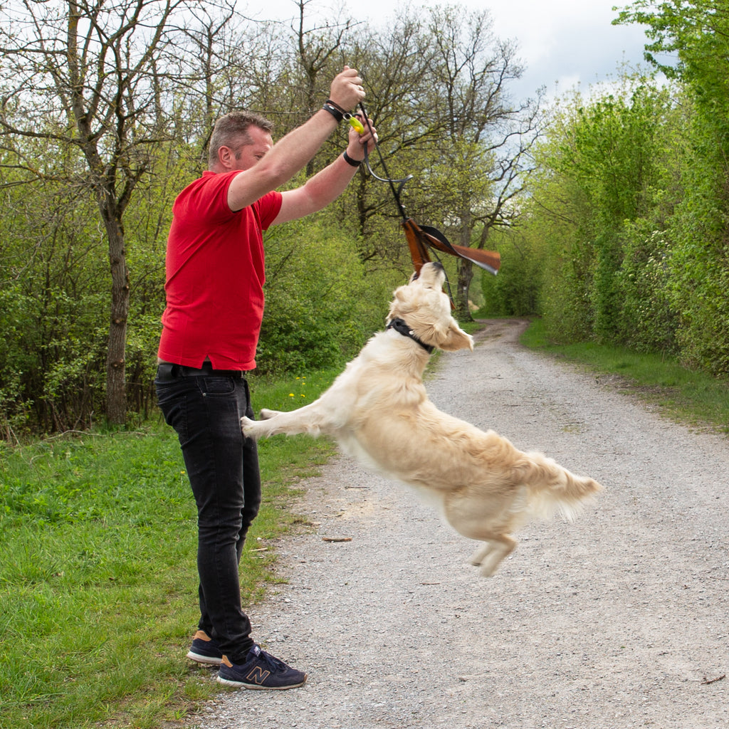 Hetzlappen Leder – interaktives Hundespielzeug für Training & Zerrspiele