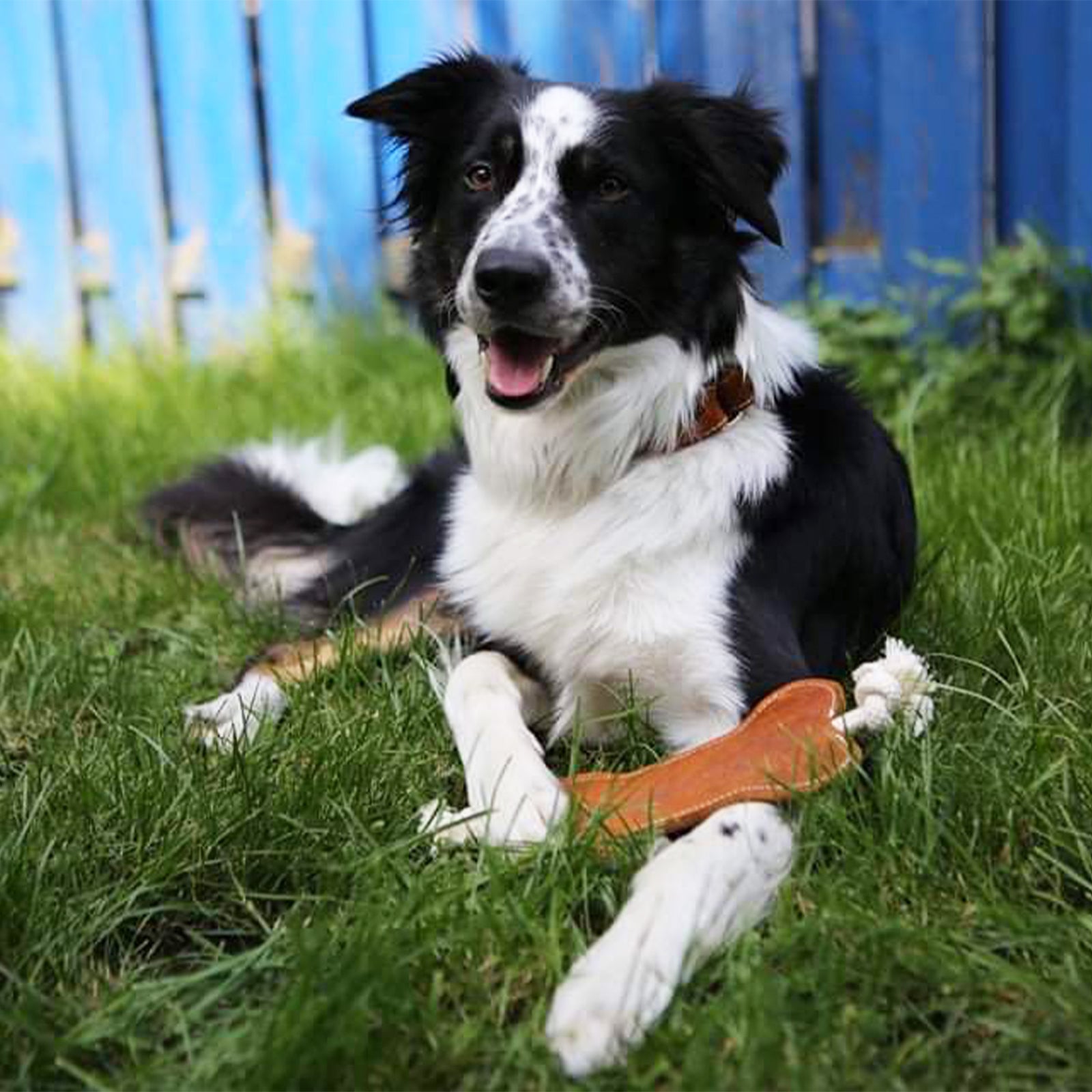 Hundespielzeug Knochen – Leder Kauspielzeug aus 100% nachhaltigen Materialien