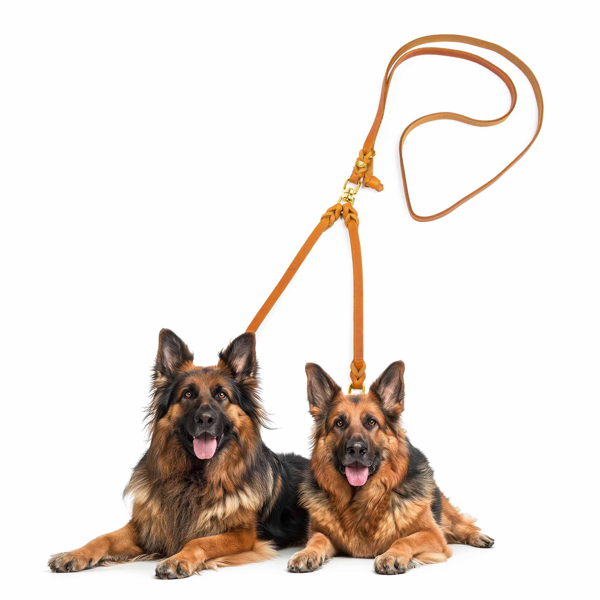Zwillingsleine Leder – Koppelleine für 2 Hunde mit 360° Drehschnalle