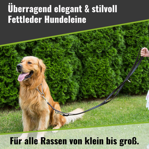 Fettlederleine 3-fach verstellbar – Führleine, Umhängeleine & Handschlaufe