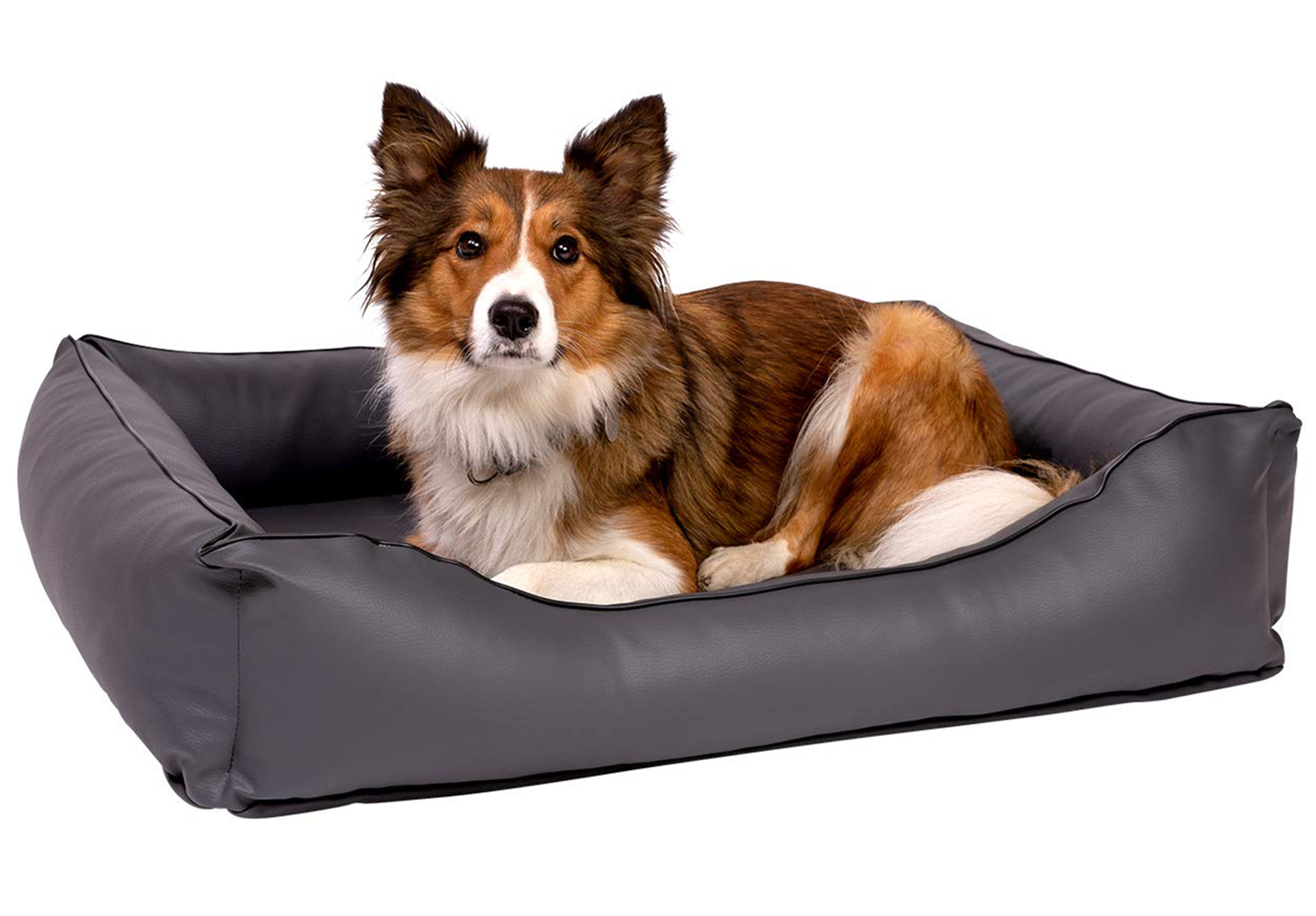 Orthopädisches Hundebett Kunstleder Paco, waschbar & ideal für große Hunde
