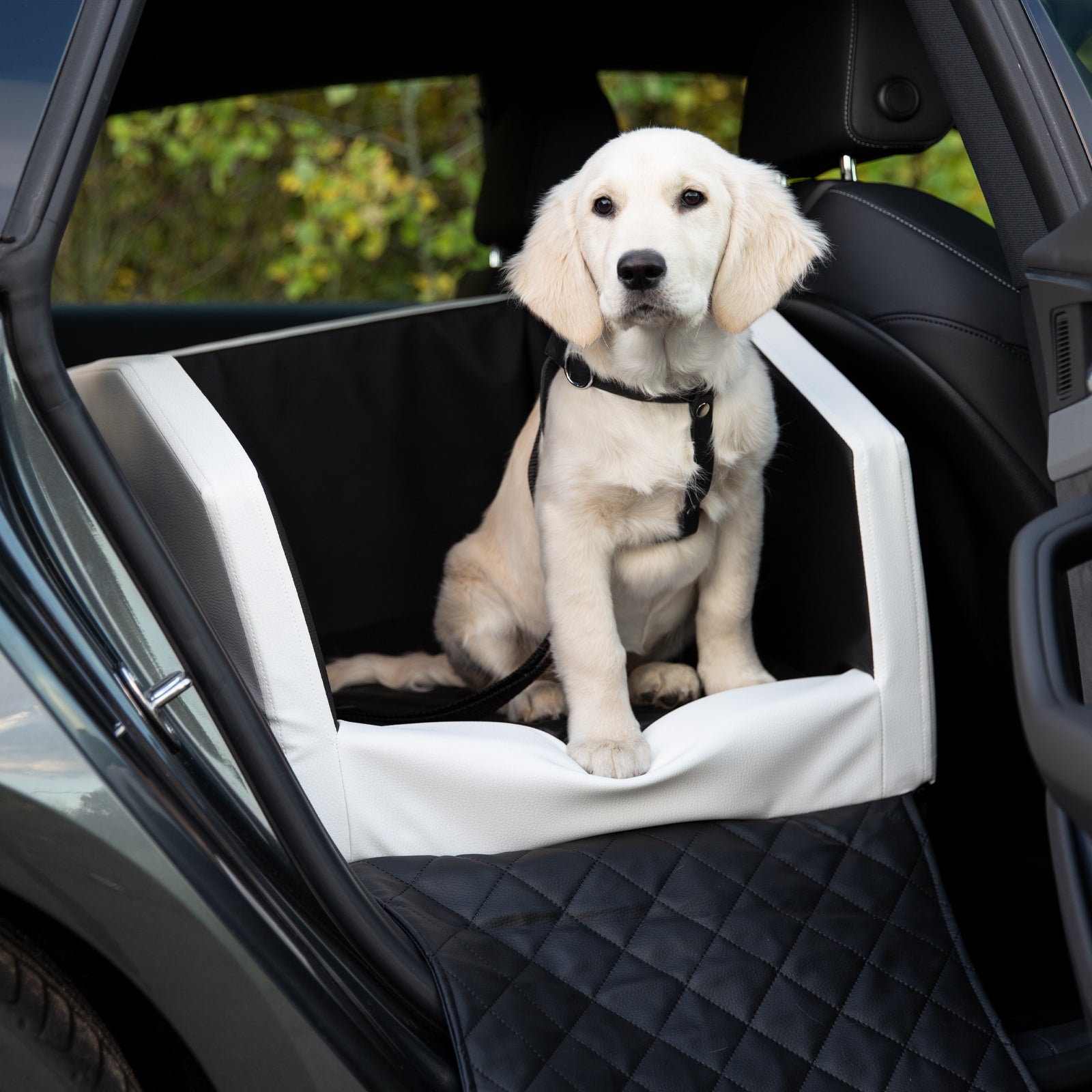 Autositz Hund – Hundebett Rücksitz & Vordersitz, Kunstleder, Anschnallgurt inklusive