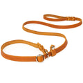 Retrieverleine Leder – Agilityleine mit Zugstopp & integrierter Halsung