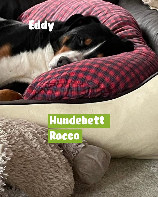 Mit dem Hundebett Rocco durften wir wieder eine...