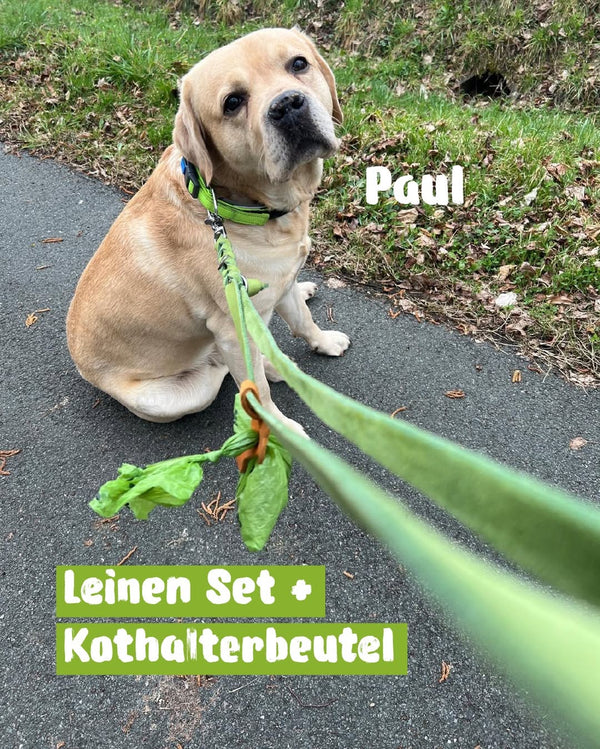 Pauls Hundeeltern haben sich bei uns eine wunde...