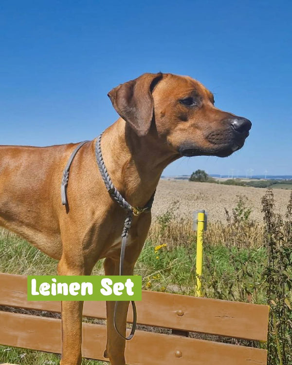 Dieses schöne Foto erreichte uns – und wir habe...