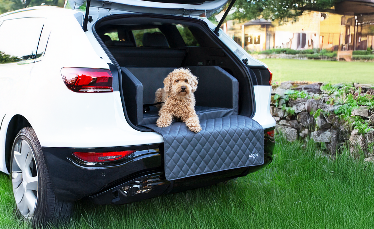 Hundebetten fürs Auto