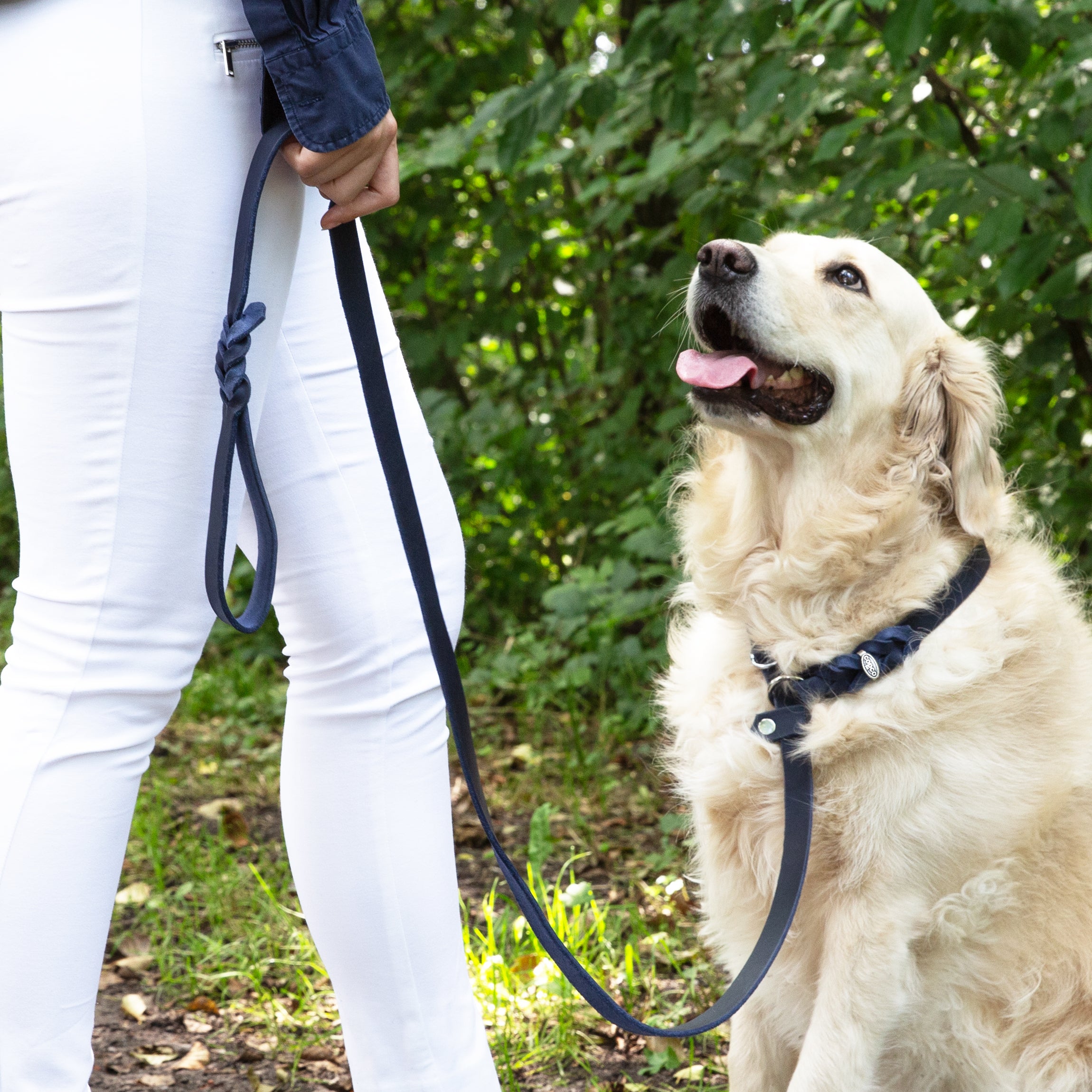 Retrieverleine Leder – Agilityleine mit Zugstopp & integrierter Halsung