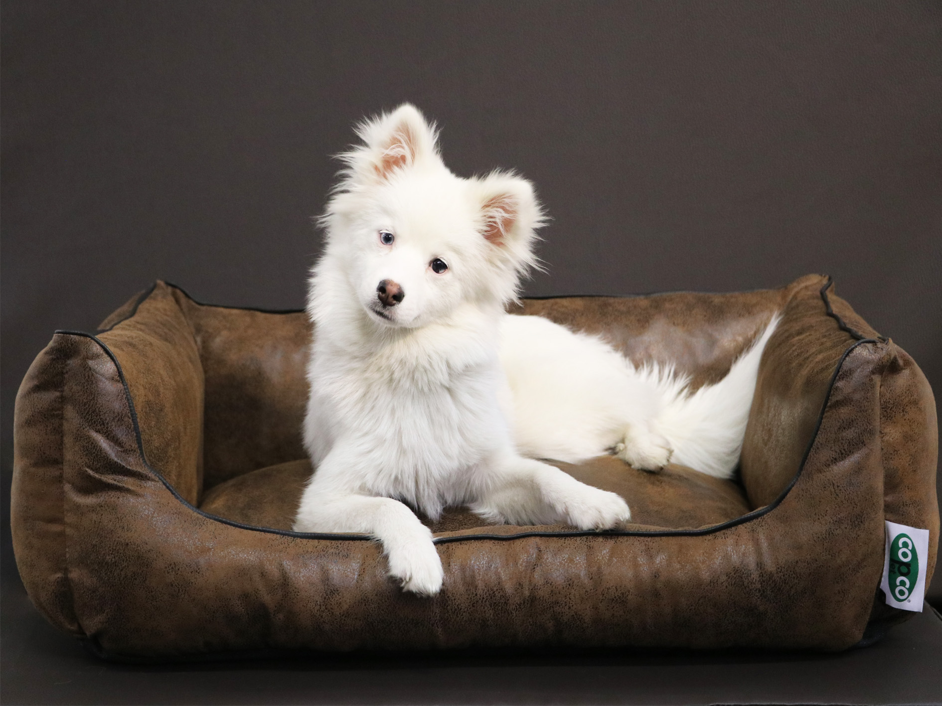 CopcoPet Hundebett Emma Antik Braun M ca. 70 x 55 cm Schaumstoff-Kissen