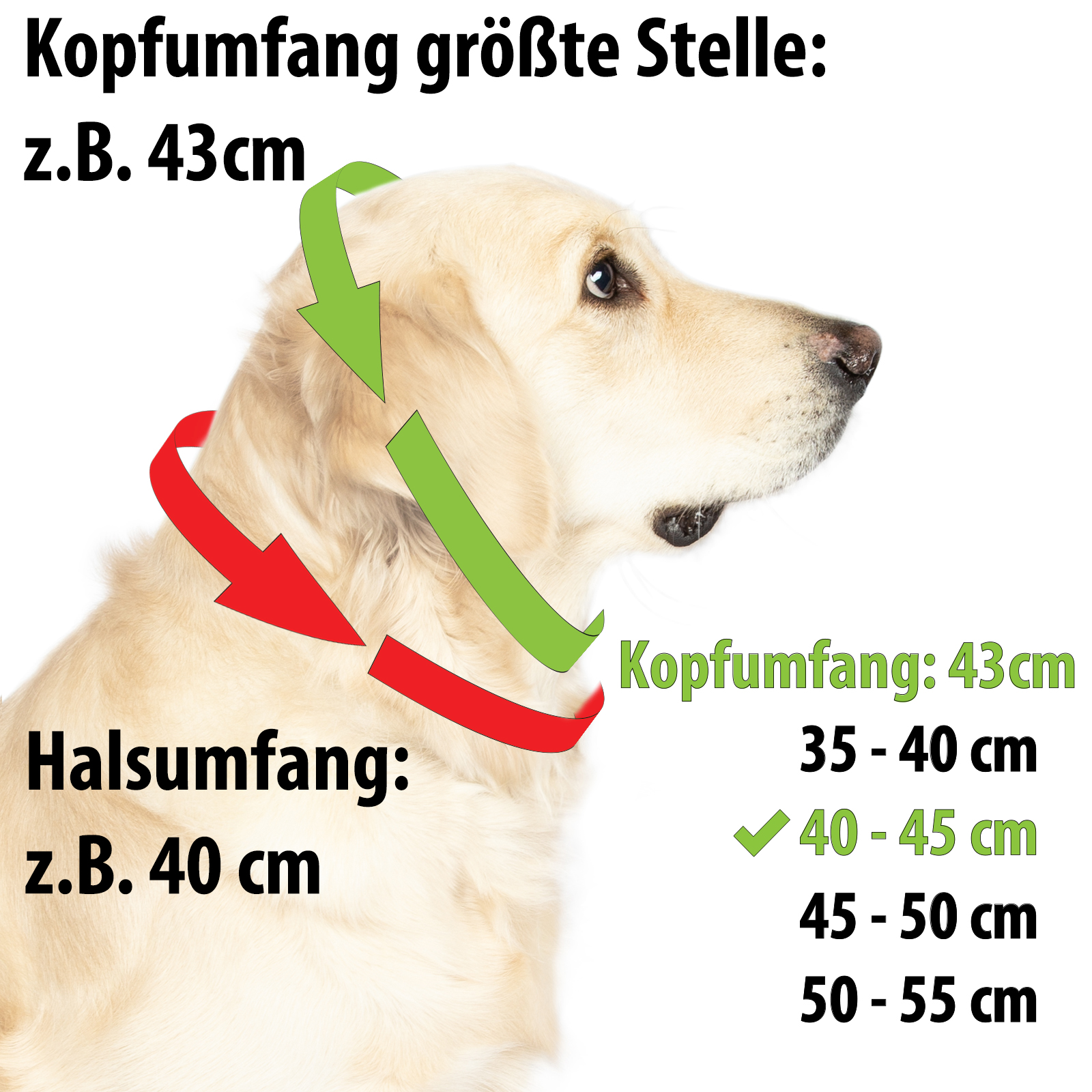 Fettlederhalsband mit Zugstopp Ring