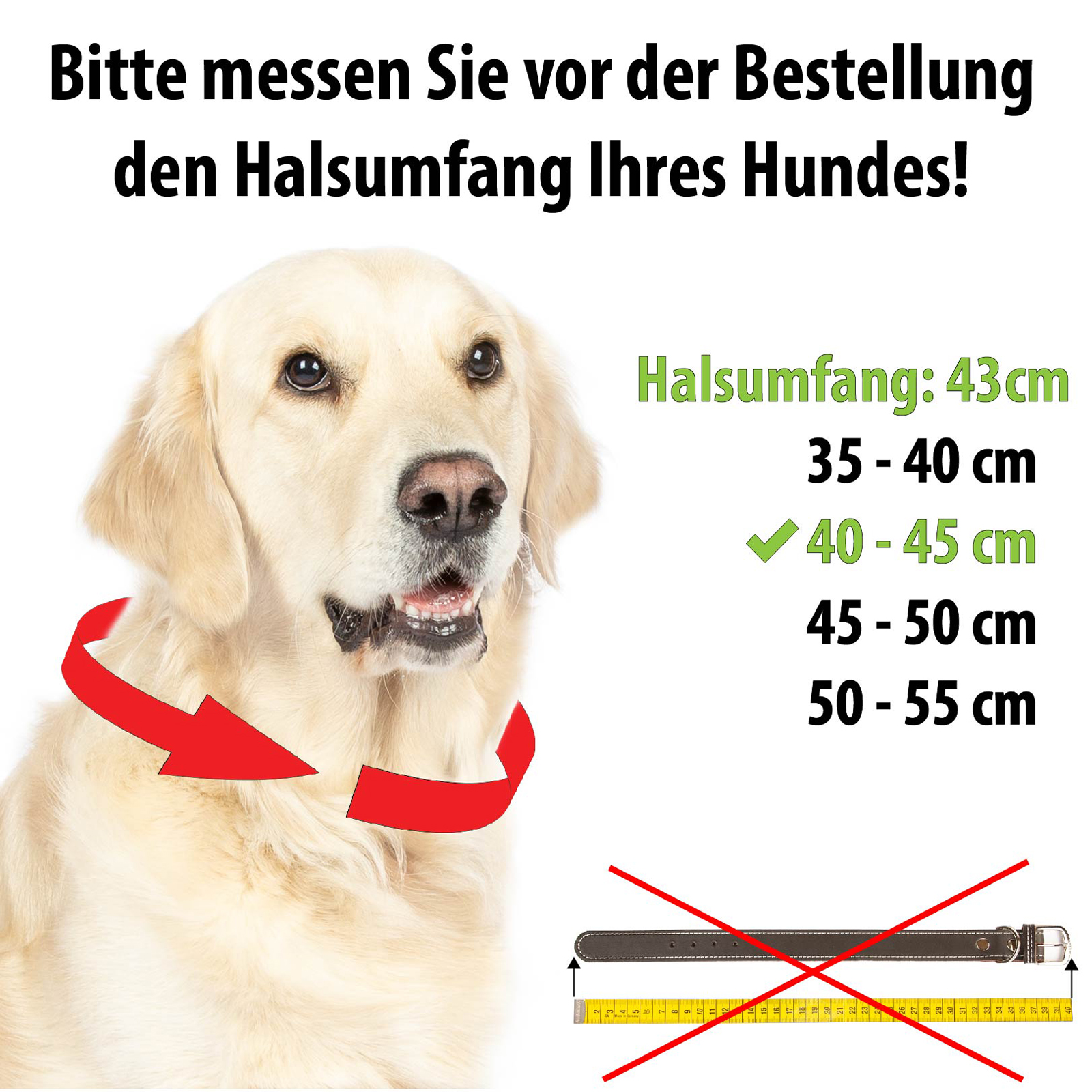 Hundehalsband - Heidi - Messing mit Naht Cognac 55-60 cm 30 mm