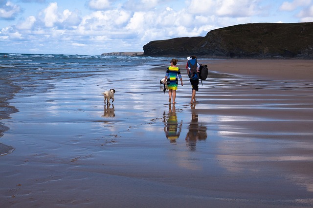 Hunde Urlaub