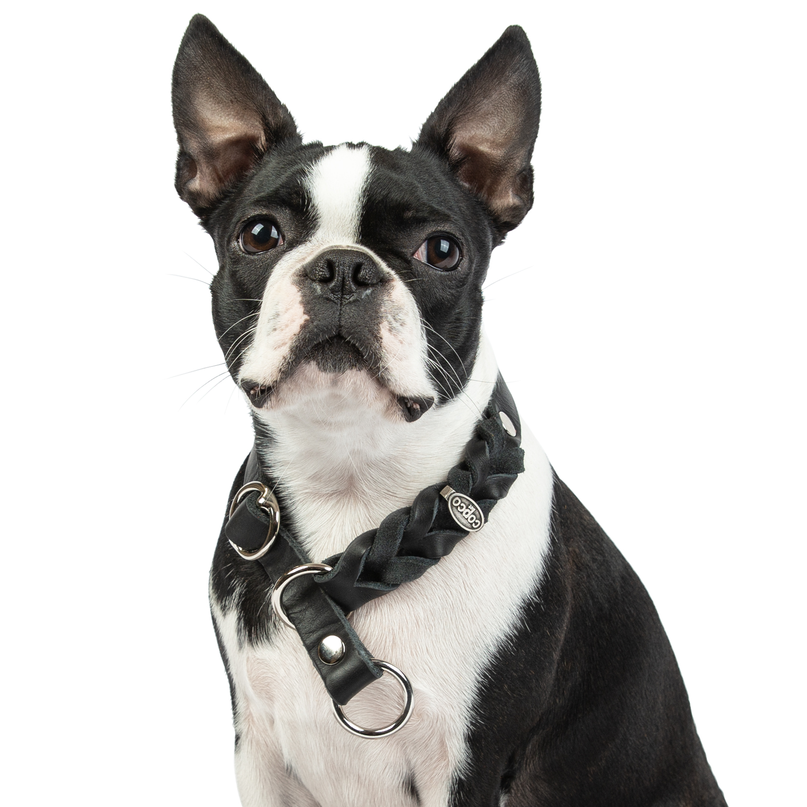 Fettleder Würger-Halsband Cleo geflochten verchromt Schwarz 60 - 65 cm 20 mm