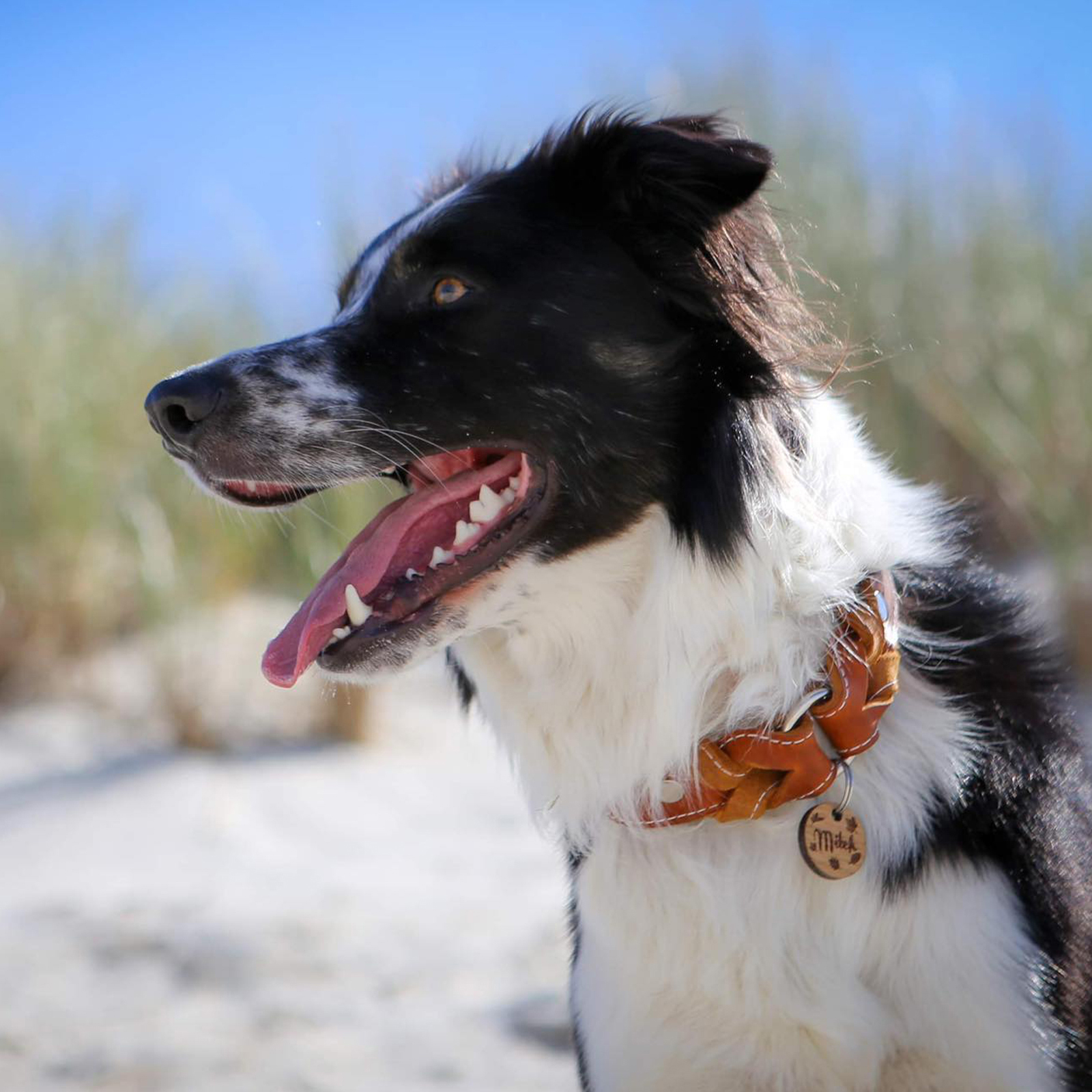 Hundehalsband - Heidi - Messing mit Naht Cognac 55-60 cm 30 mm