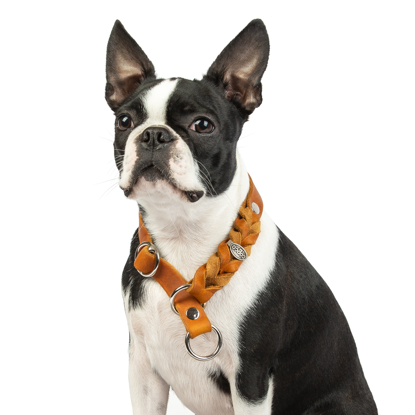 Fettleder Würger-Halsband Cleo geflochten verchromt Cognac 50 - 55 cm 10 mm